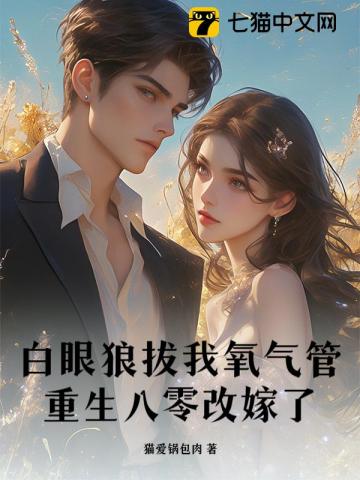 搬空婆家离婚后，被八零京少宠上天