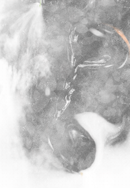 满级大佬很漂亮