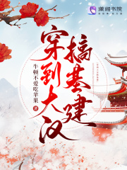 穿到大汉搞基建