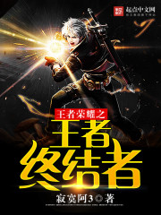 王者荣耀之王者终结者