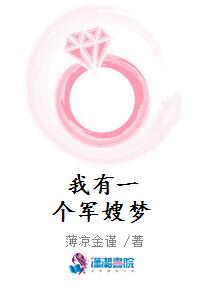 我有一个军嫂梦