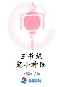 王爷绝宠小神医