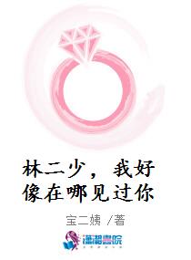 林二少，我好像在哪见过你