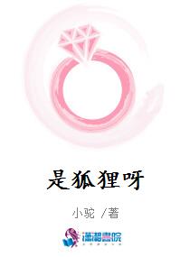 是狐狸呀