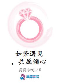 如若遇见，共愿倾心