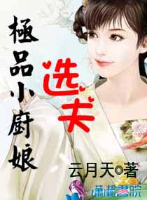 极品小厨娘选夫