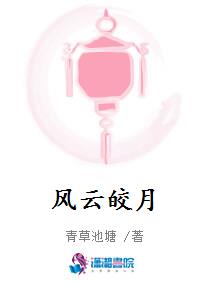 风云皎月