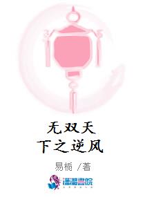 无双天下之逆风