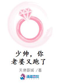 少帅，你老婆又跑了