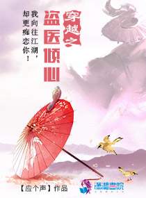 穿越之盗医倾心