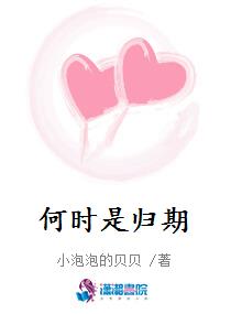 何时是归期