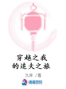 穿越之我的追夫之旅