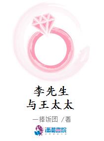 李先生与王太太