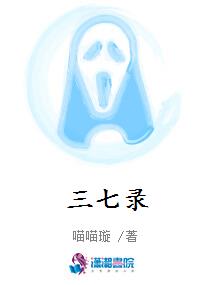 三七录