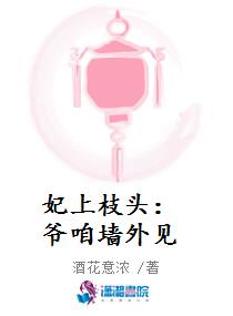 妃上枝头：爷咱墙外见