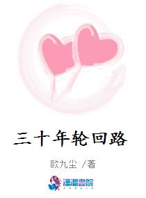 三十年轮回路