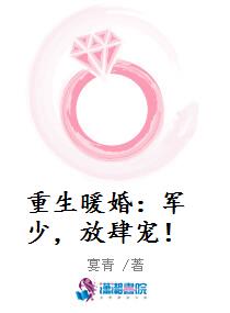 重生暖婚：军少，放肆宠！