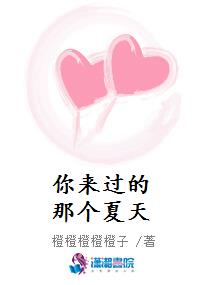 你来过的那个夏天