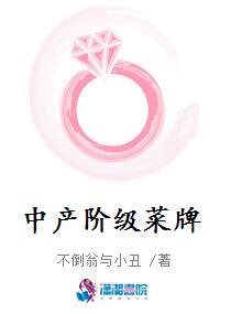 中产阶级菜牌