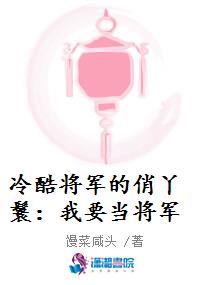 冷酷将军的俏丫鬟：我要当将军