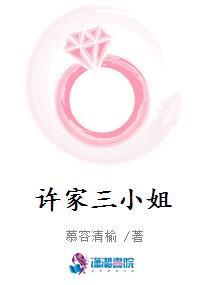 许家三小姐