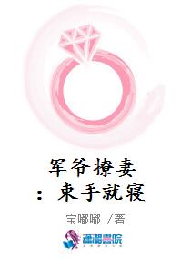 军爷撩妻：束手就寝