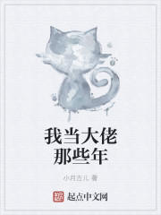我当大佬那些年