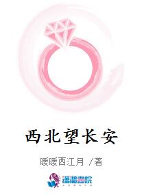 西北望长安