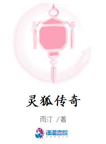 灵狐传奇