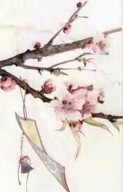 乱世公主倾天下