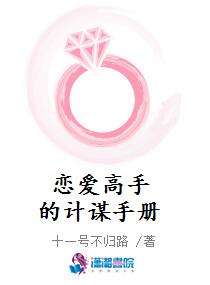 恋爱高手的计谋手册