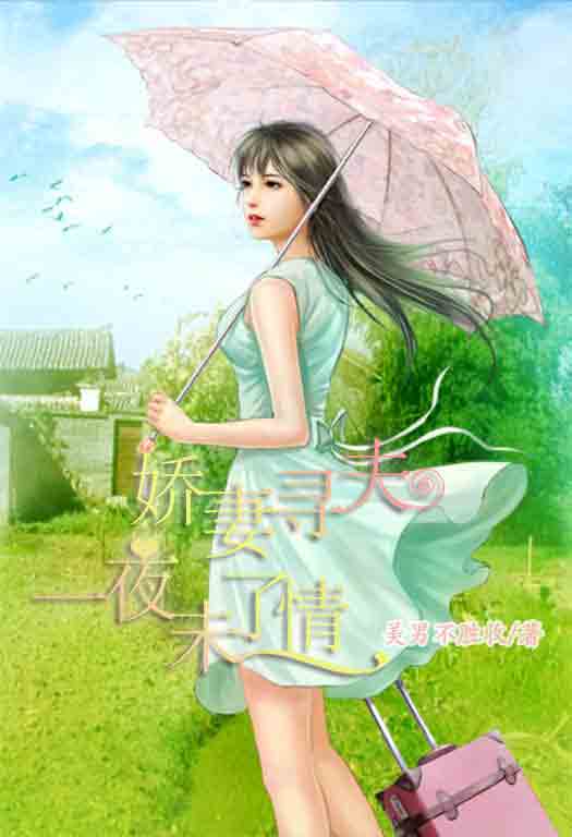 一夜未了情