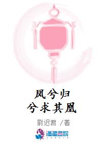 凤兮归兮求其凰
