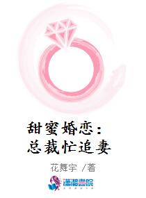 甜蜜婚恋：总裁忙追妻