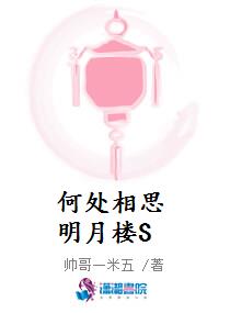 何处相思明月楼S