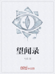 望闻录