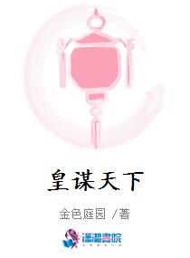 皇谋天下