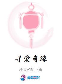寻爱奇缘