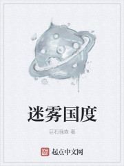 迷雾国度