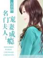 名门夫人：宠妻成瘾