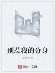 别惹我的分身