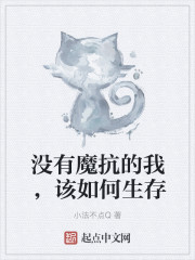 没有魔抗的我，该如何生存