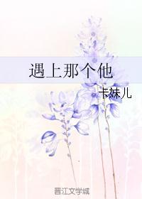 遇上那个他