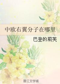 中欧右翼分子在哪里