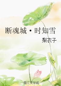 断魂城·时知雪