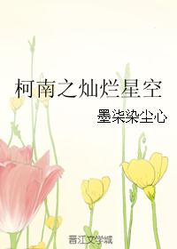 柯南之灿烂星空