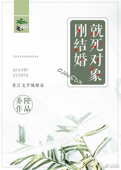 刚结婚就死对象！