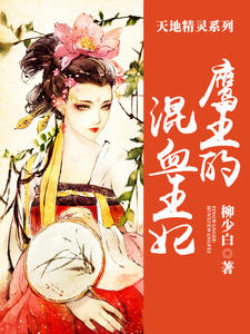 天地精灵：鹰王的混血王妃