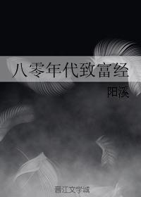 八零年代致富经