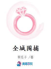 全城围捕